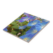 Morning Glory Blume Fliese (Seite)