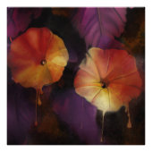 Morning Glory Blume Fotodruck (Vorne)