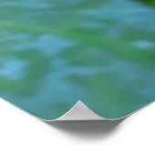 Morning Glory Blume , Ipomoea mit Raindrops Poster (Ecke)