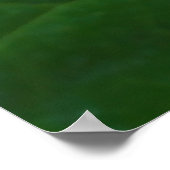 Morning Glory Blume , Ipomoea mit Raindrops Poster (Ecke)