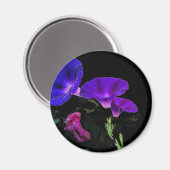 Morning Glory Blume Magnet (Vorderseite/Rückseite)