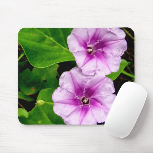 Morning Glory Blume Mousepad (Mit Mouse)