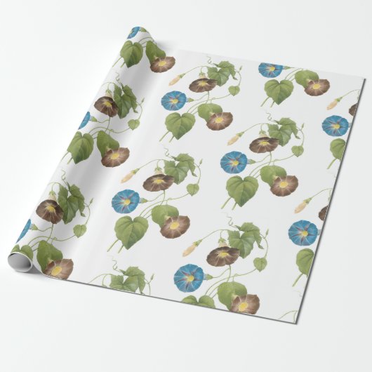 Morning Glory Blume Pattern Geschenkpapier (Ungerollt)