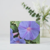 Morning Glory Blume Postcard Postkarte (Stehend Vorderseite)