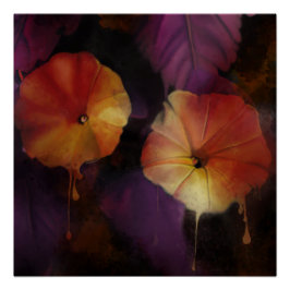Morning Glory Blume Poster