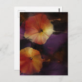 Morning Glory Blume Postkarte (Vorne/Hinten)