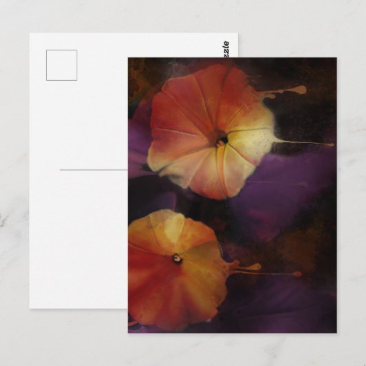 Morning Glory Blume Postkarte (Vorne/Hinten)