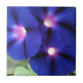 Morning Glory Blume Tile Fliese (Vorderseite)