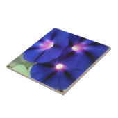Morning Glory Blume Tile Fliese (Seite)