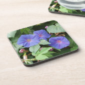Morning Glory Blume Untersetzer (Linke Seite)