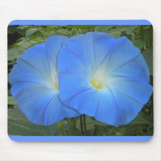 Morning Glory Duo Mousepad (Vorne)