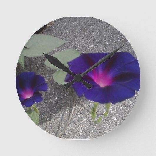 Morning Glory flower Wall Clock Runde Wanduhr (Vorderseite)