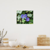 Morning Glory Foto Poster (Küche)