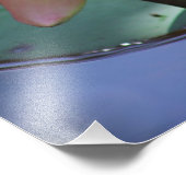 Morning Glory Fotodruck (Ecke)