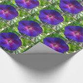 Morning Glory Geschenkpapier (Ecke)