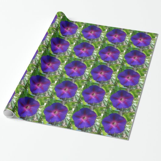 Morning Glory Geschenkpapier (Ungerollt)