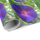 Morning Glory Geschenkpapier (Rolleneckpunkt)