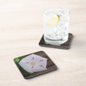 Morning Glory Getränkeuntersetzer (Rechte Seite)