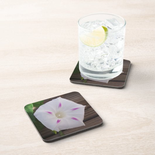 Morning Glory Getränkeuntersetzer (Rechte Seite)