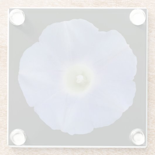 Morning Glory Glasuntersetzer (Rückseite)