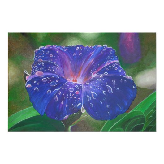 Morning Glory (Ipomoea Purpurea) Petals und Dew Dr Fotodruck (Vorne)