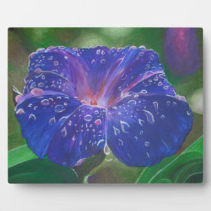 Morning Glory (Ipomoea Purpurea) Petals und Dew Dr Fotoplatte