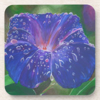 Morning Glory (Ipomoea Purpurea) Petals und Dew Dr