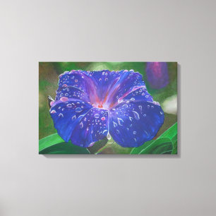 Morning Glory (Ipomoea Purpurea) Petals und Dew Dr Leinwanddruck