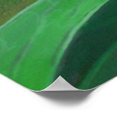 Morning Glory (Ipomoea Purpurea) Petals und Dew Dr Poster (Ecke)