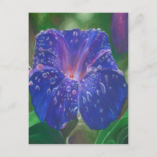 Morning Glory (Ipomoea Purpurea) Petals und Dew Dr Postkarte