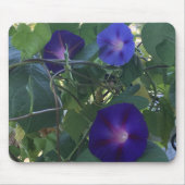 Morning Glory Kaleidoscope Close-up  Mousepad (Vorne)