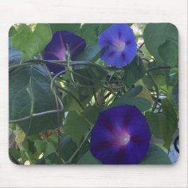 Morning Glory Kaleidoscope Close-up Mousepad