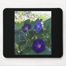 Morning Glory Kaleidoscope Mousepad