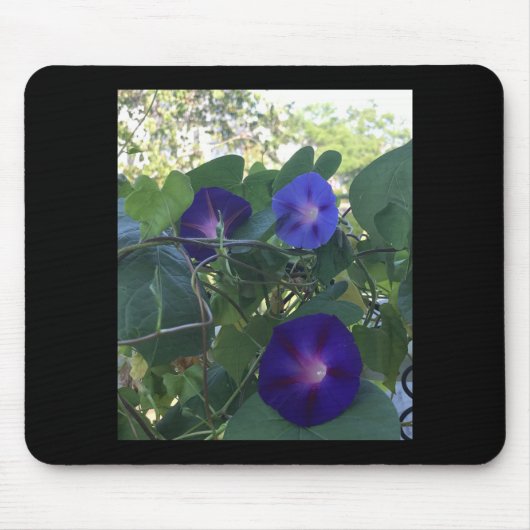 Morning Glory Kaleidoscope Mousepad (Vorne)