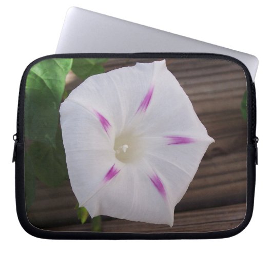 Morning Glory Laptopschutzhülle (Vorderseite)