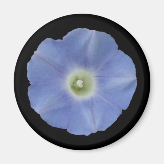 Morning Glory Magnet (Vorne)