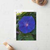Morning Glory Mitteilungskarte (Vorderseite/Rückseite Beispiel)