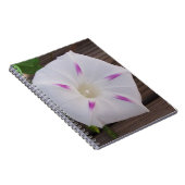 Morning Glory Notizblock (Rechte Seite)