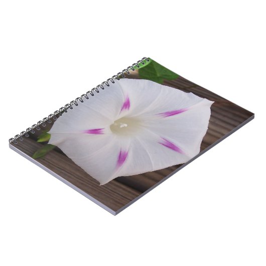 Morning Glory Notizblock (Linke Seite)