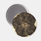 Morning Glory Old Time Sketch Magnet (Vorderseite/Rückseite)