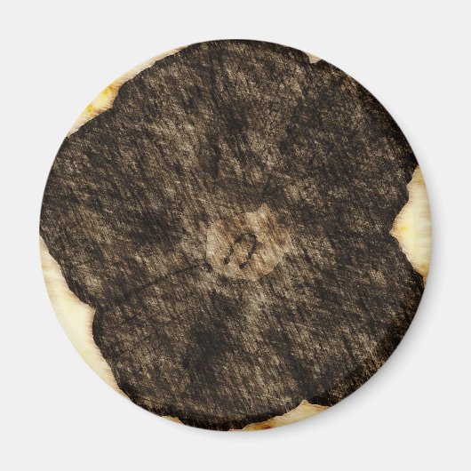 Morning Glory Old Time Sketch Magnet (Vorne)