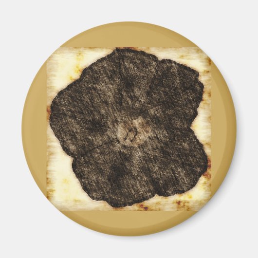 Morning Glory Old Time Sketch Magnet (Vorne)