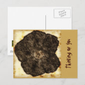 Morning Glory Old Time Sketch Postkarte (Vorne/Hinten)