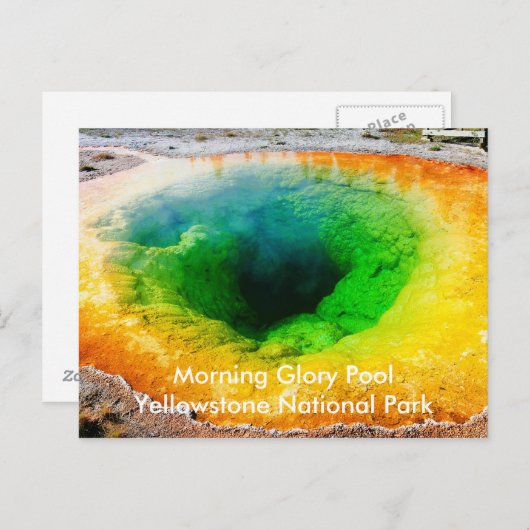 Morning Glory Pool Postkarten (Vorne/Hinten)