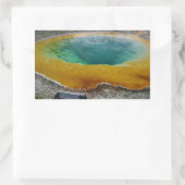 Morning Glory Pool Rectangle Stickers (Tasche)