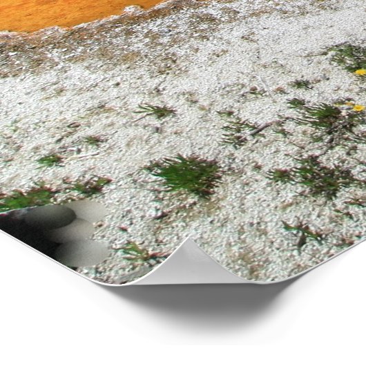 Morning Glory Pool, Yellowstone Nationala.. Poster (Ecke)