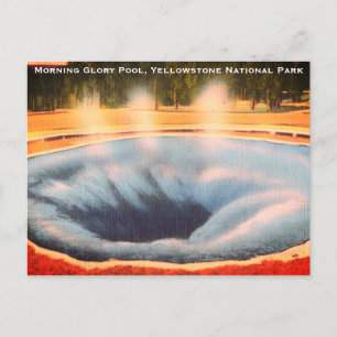 Morning Glory Pool, Yellowstone Nationalpark Feiertagspostkarte