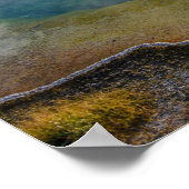 Morning Glory Pool, Yellowstone Nationalpark Poster (Ecke)