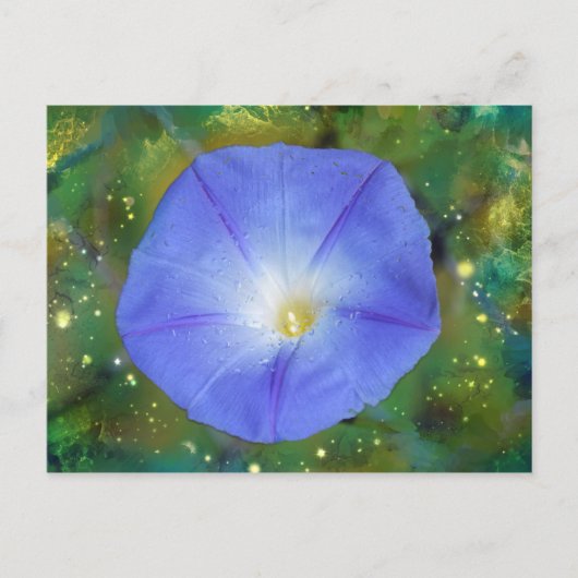 Morning Glory Post Card Postkarte (Vorderseite)