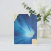 Morning Glory Postcard Postkarte (Stehend Vorderseite)